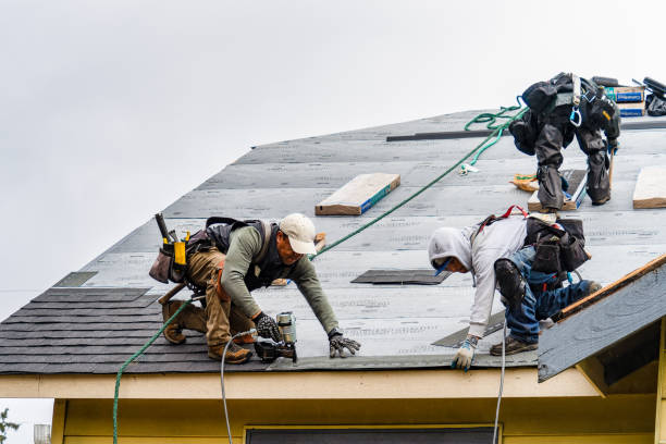 Professional Gutter Installation technician working in Cornelia, GA